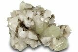 Twinned Calcite Crystals with Dolomite - New York #251206-1